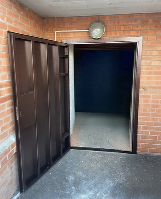 Порошковая дверь-скелет