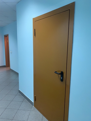 Дверь ei коричневого цвета