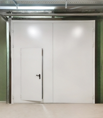 Ворота с дверью